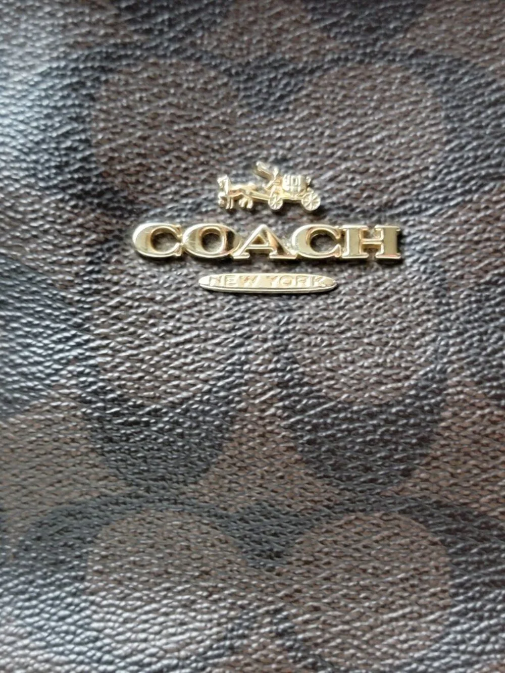 Coach christie carryall